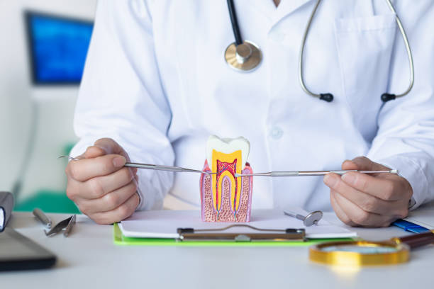 Best Emergency Treatment for Toothache in Curtice, OH